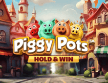 Piggy Pots Piggy Pots